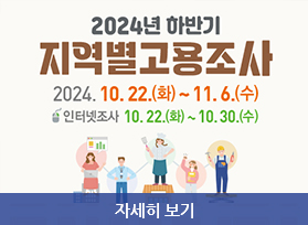 2024년 하반기 지역별고용조사, 2024. 10.22. 화 ~ 11.6. 수, 인터넷조사 : 10.22. 화 ~ 10.30.수, 자세히 보기 