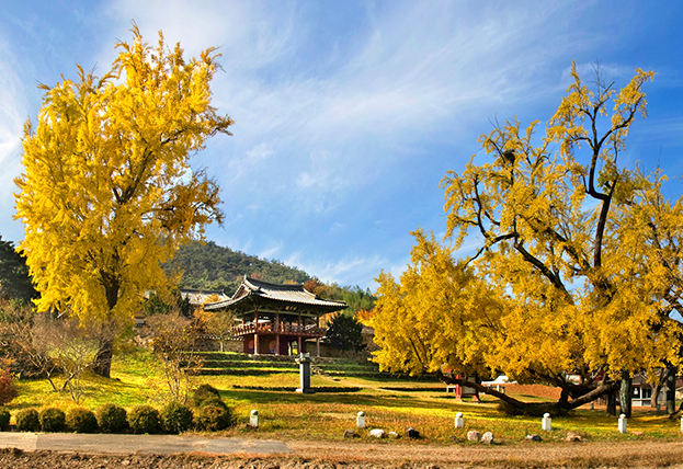 Dodongseowon Confucian Academy